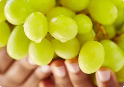Grapes